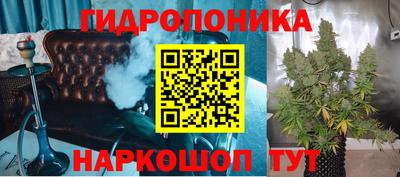 шишки Волжск