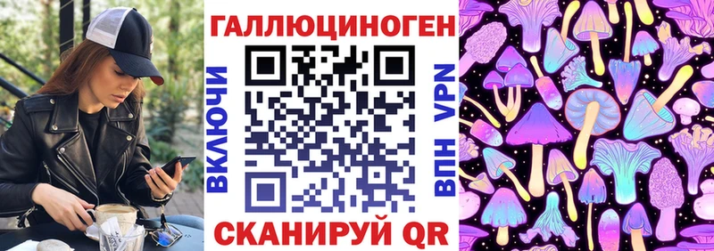 Псилоцибиновые грибы Psilocybe blacksprut tor Торжок