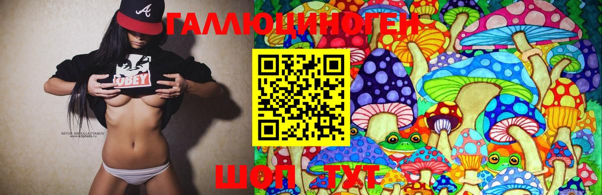 Торжок  Галлюциногенные грибы Cubensis  Галлюциногенные грибы MAGIC MUSHROOMS  сколько стоит  Вход с VPN 