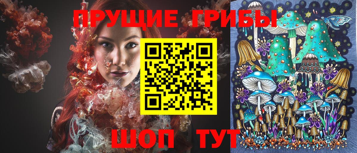 Псилоцибиновые грибы Cubensis Торжок